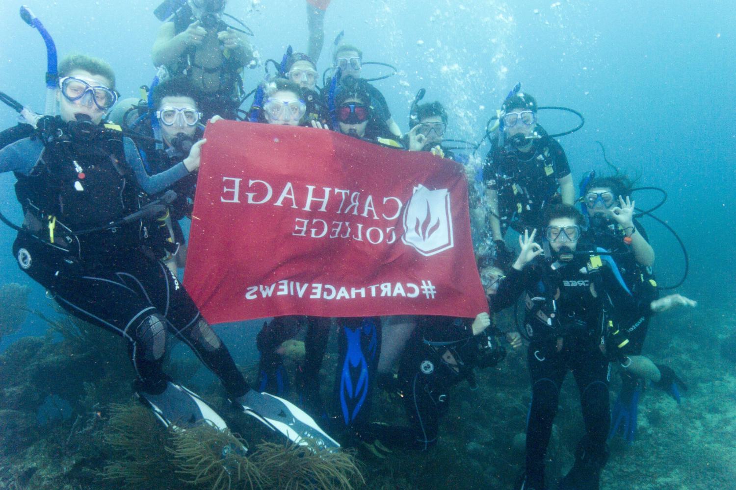 学生们手持<a href='http://68m43.101jenny.com'>bv伟德ios下载</a>旗帜，在j学期洪都拉斯游学之旅中潜水.
